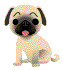 dino